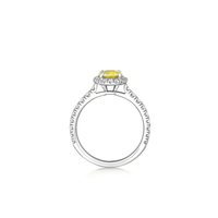 Chantal Chaudé Soleil Jaune