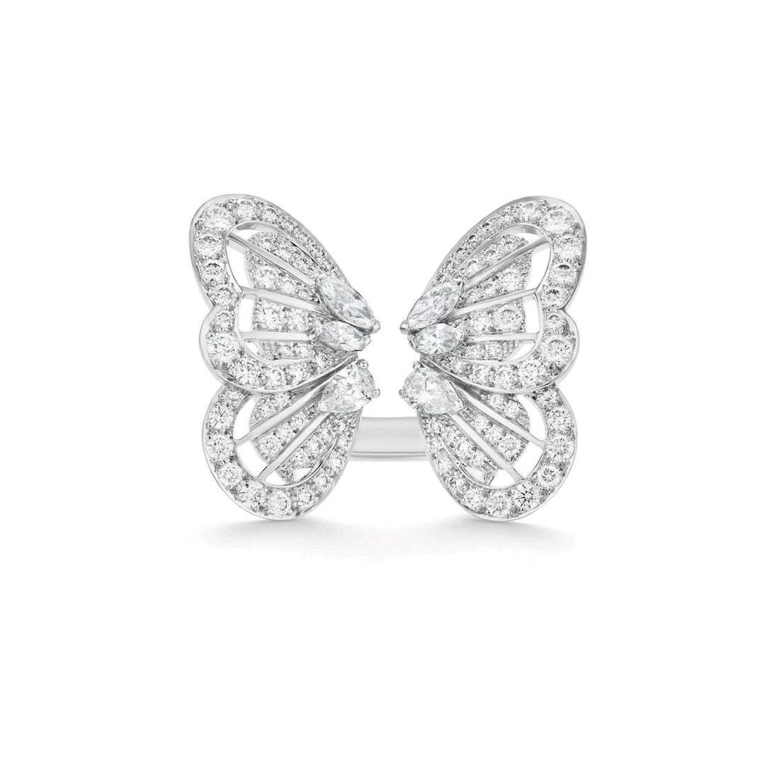 Papillon