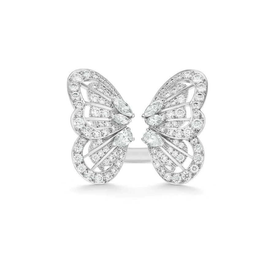 Papillon