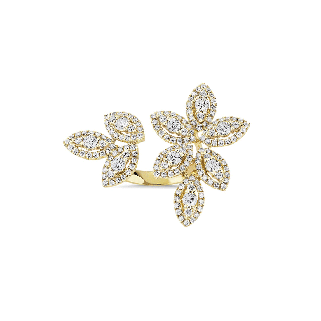 Feuilles d'or