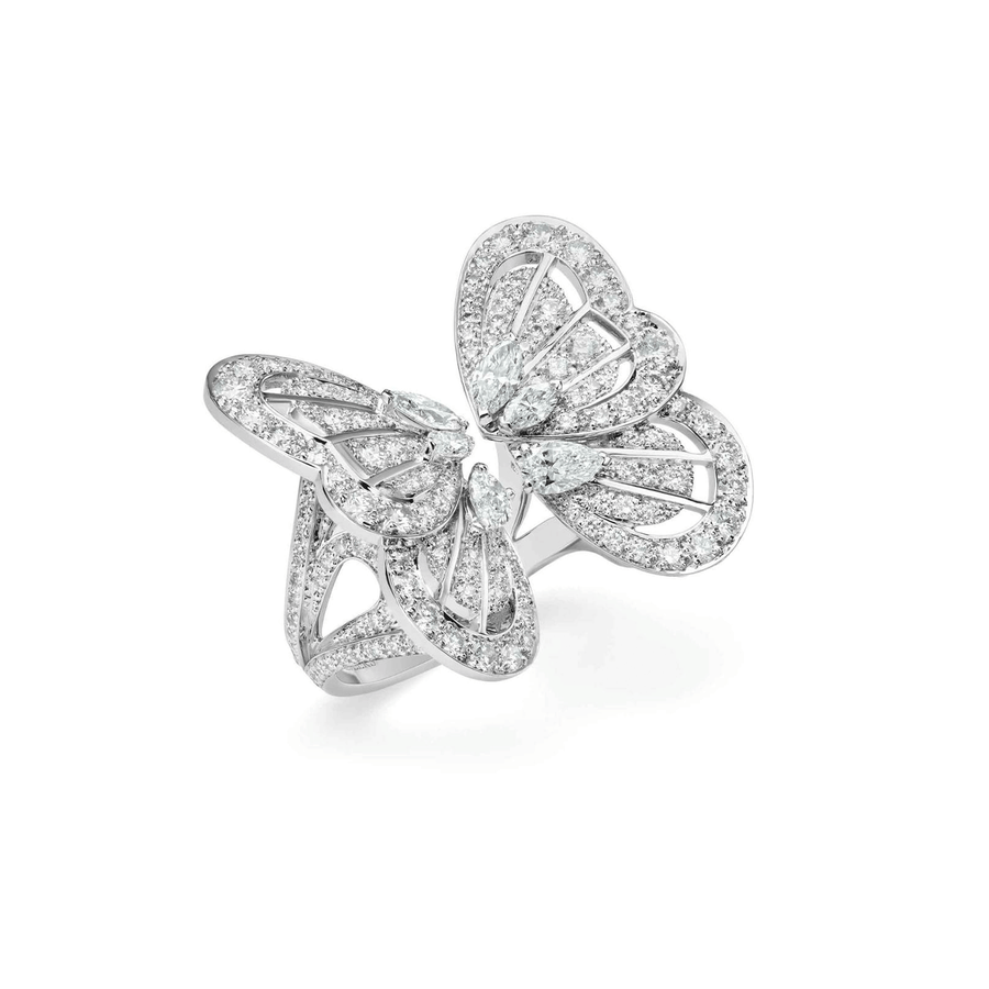 Papillon